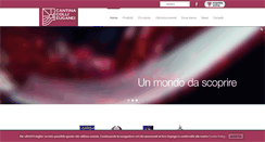 Desktop Screenshot of cantinacollieuganei.it